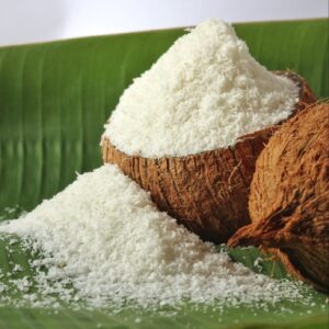 Desiccated Coconut Dryer Machine | Hygienic Coconut Drying Systems for Food Processing & Export Quality Production