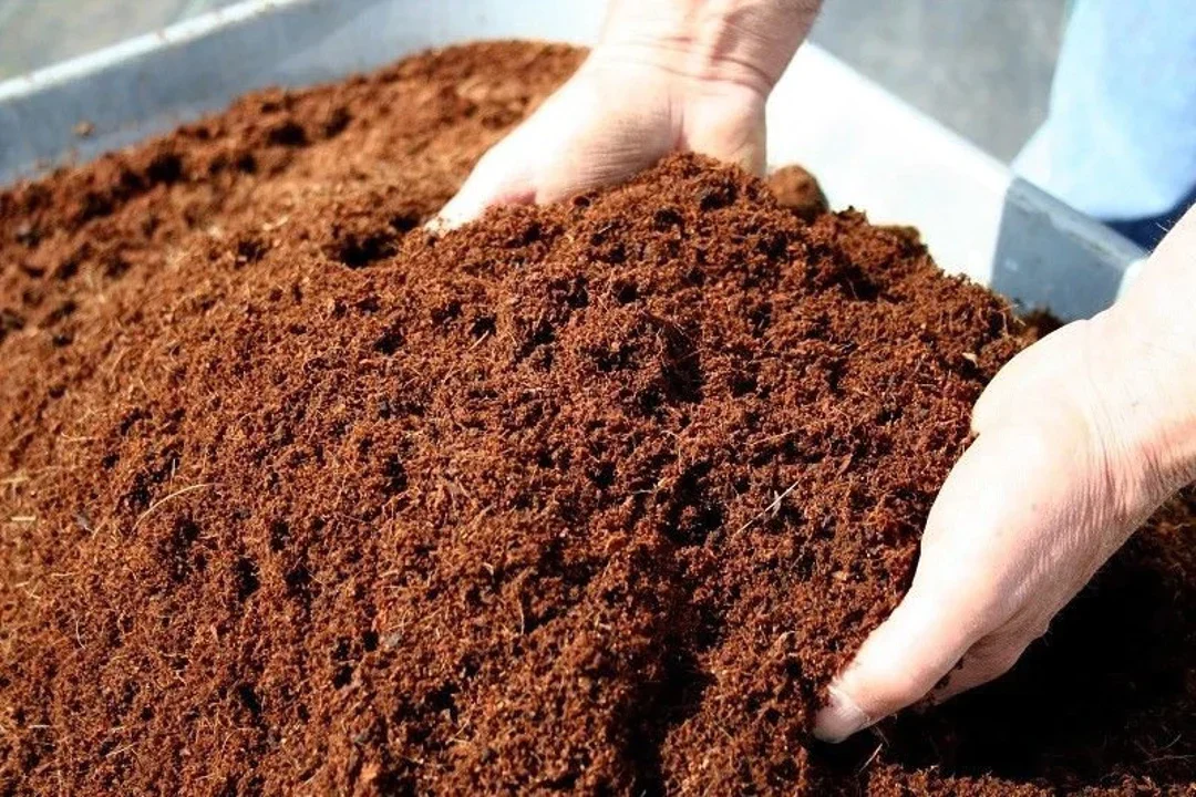 Coco peat