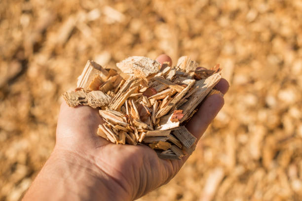 Wood Chip Dry